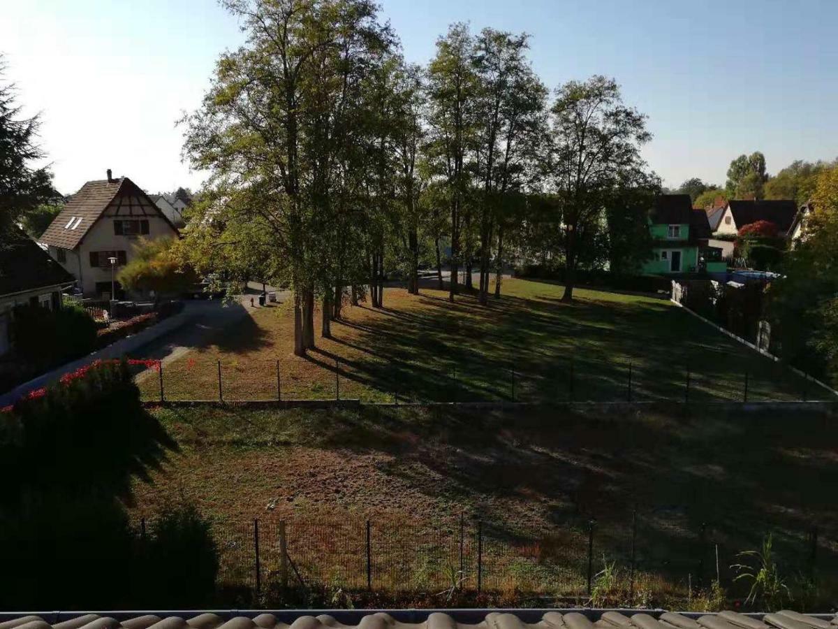 Appart Les Cerises Entre Strasbourg Et Haguenau Bischwiller Esterno foto