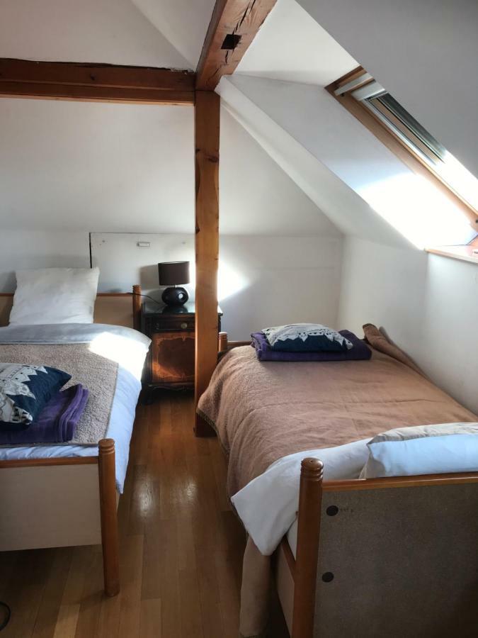 Appart Les Cerises Entre Strasbourg Et Haguenau Bischwiller Esterno foto