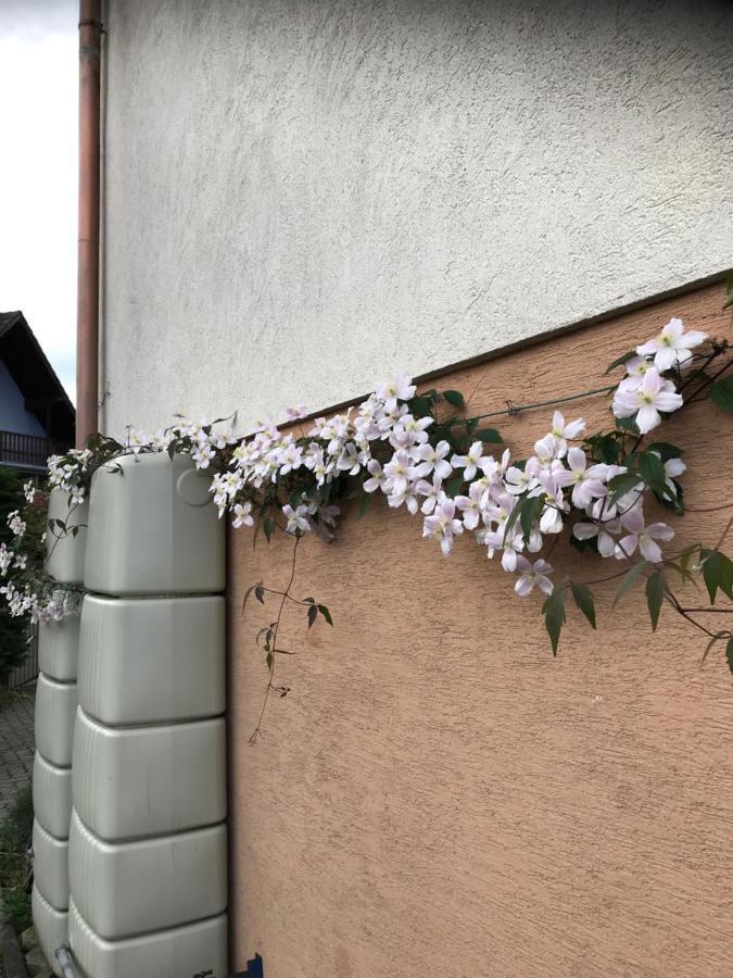 Appart Les Cerises Entre Strasbourg Et Haguenau Bischwiller Esterno foto