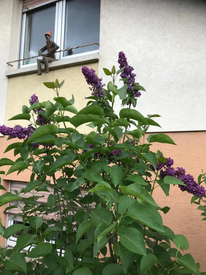 Appart Les Cerises Entre Strasbourg Et Haguenau Bischwiller Esterno foto